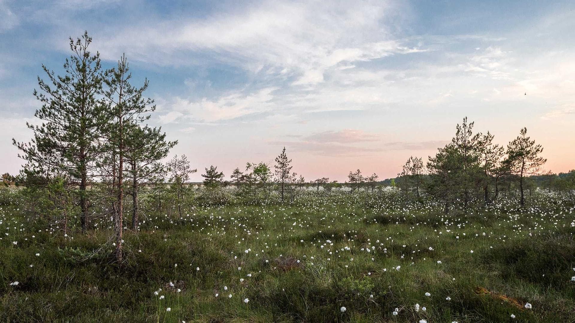 Building Academic Excellence.